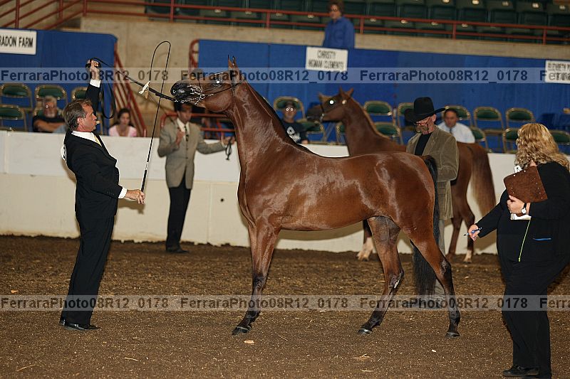 Proof 08r12_0178