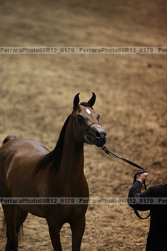 Proof 08r12_0179