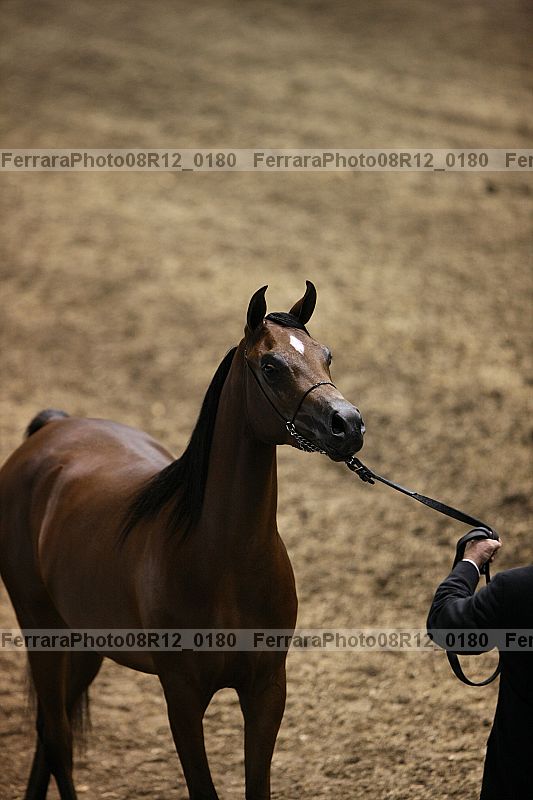 Proof 08r12_0180