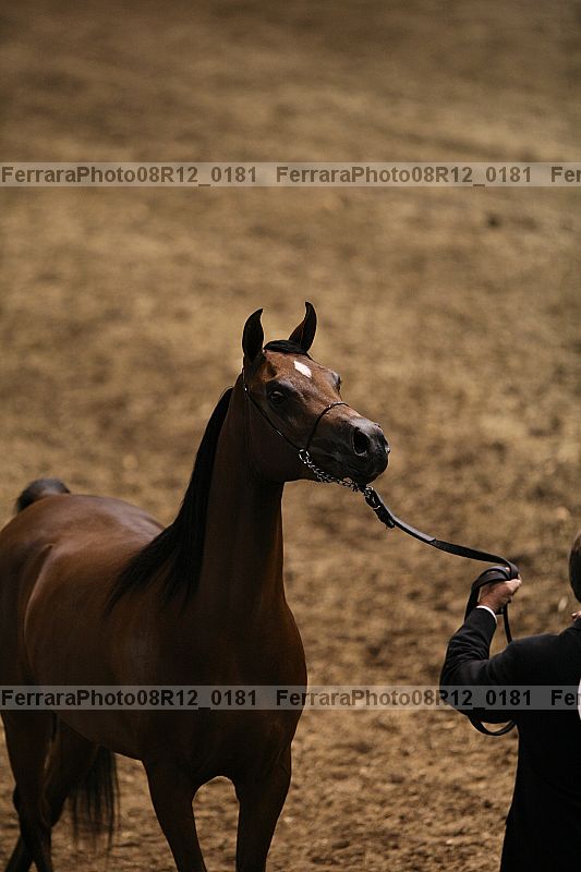 Proof 08r12_0181