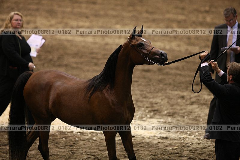 Proof 08r12_0182