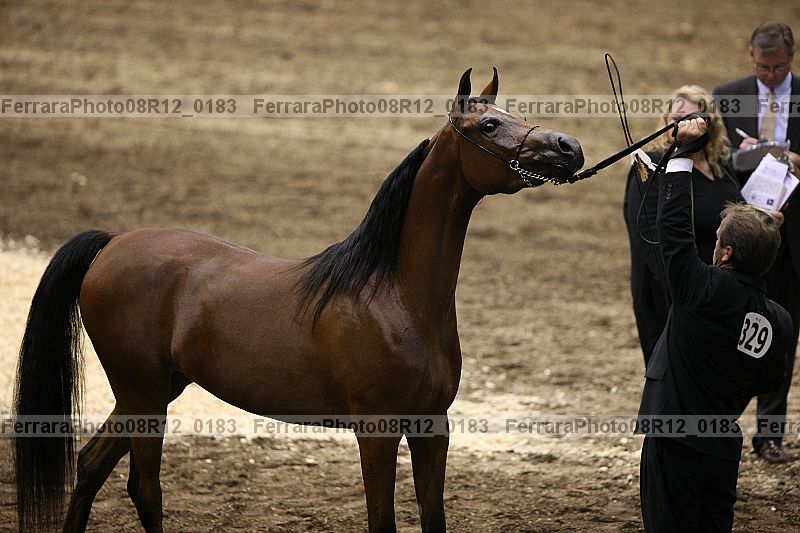 Proof 08r12_0183