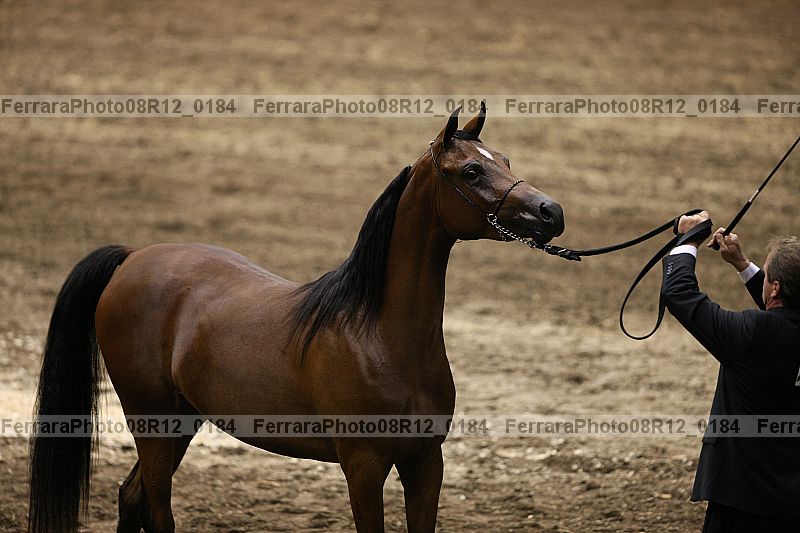 Proof 08r12_0184