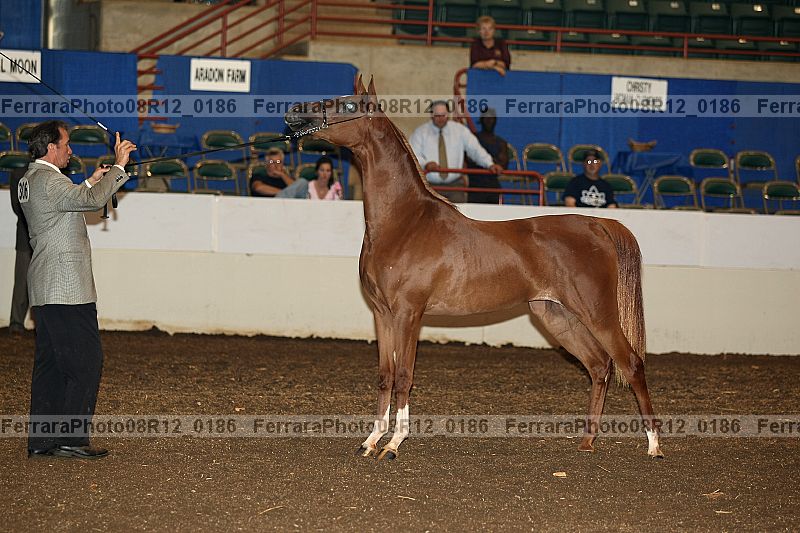 Proof 08r12_0186