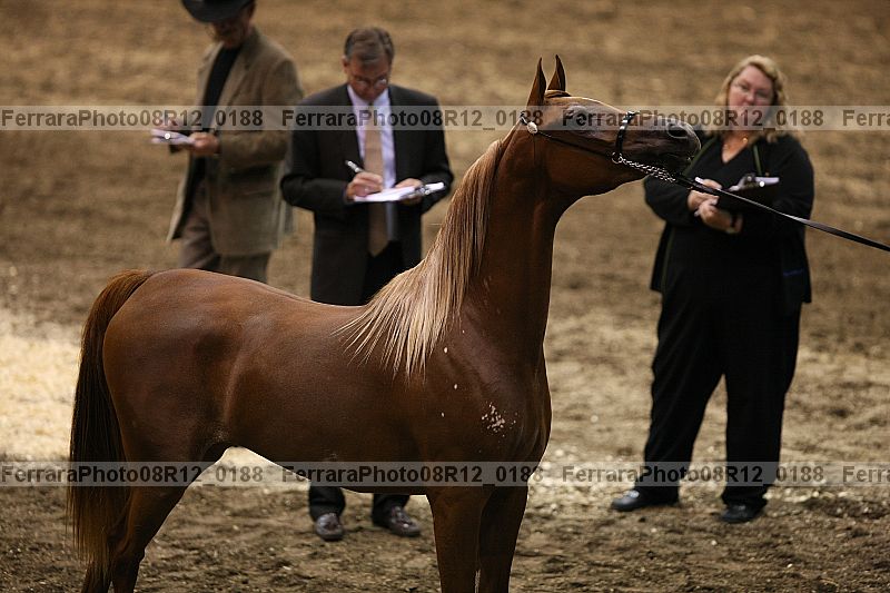 Proof 08r12_0188
