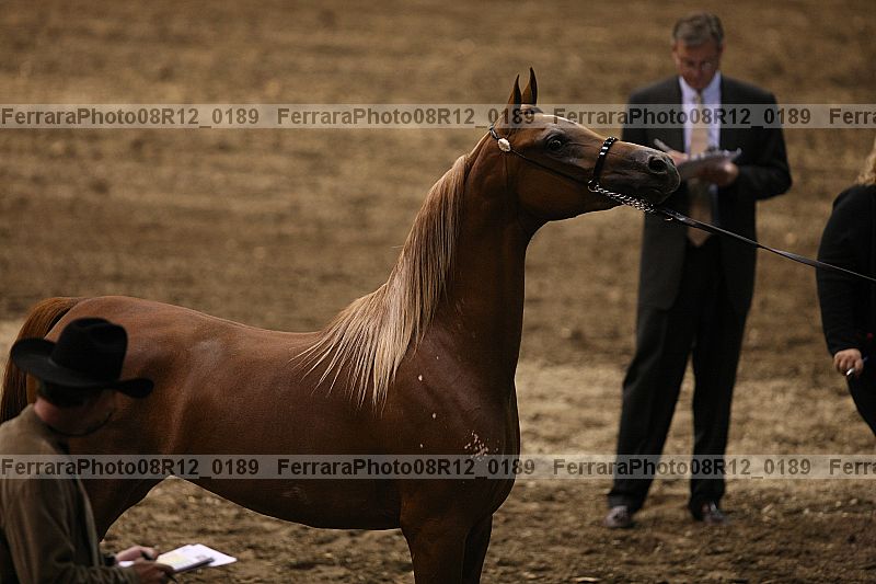 Proof 08r12_0189