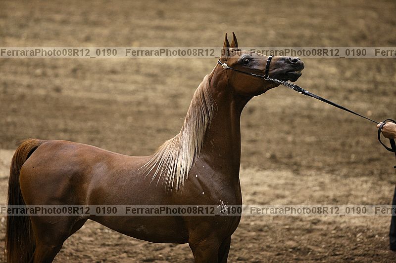 Proof 08r12_0190
