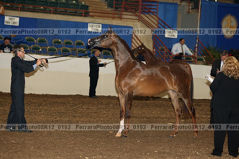 Proof 08r12_0192