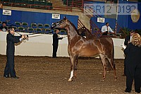 08r12_0192 proof