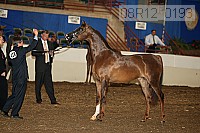 08r12_0193 proof