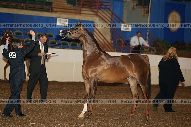 Proof 08r12_0194