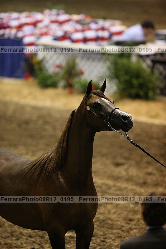 Proof 08r12_0195