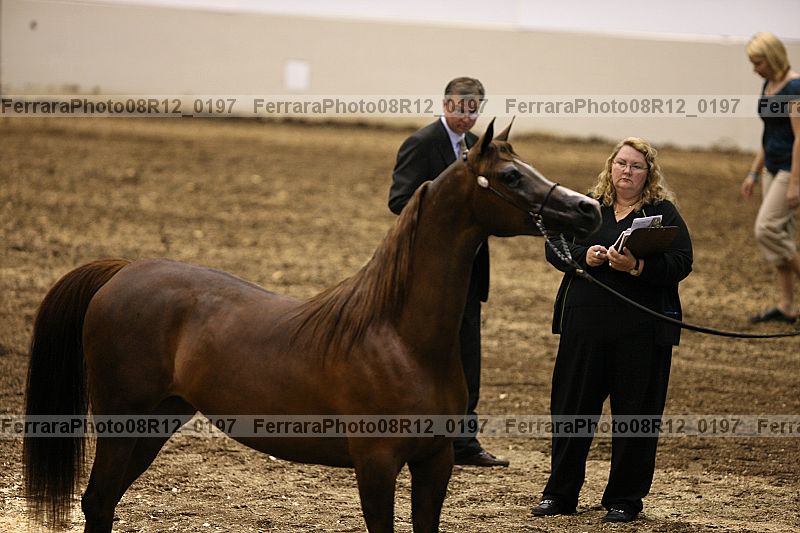 Proof 08r12_0197