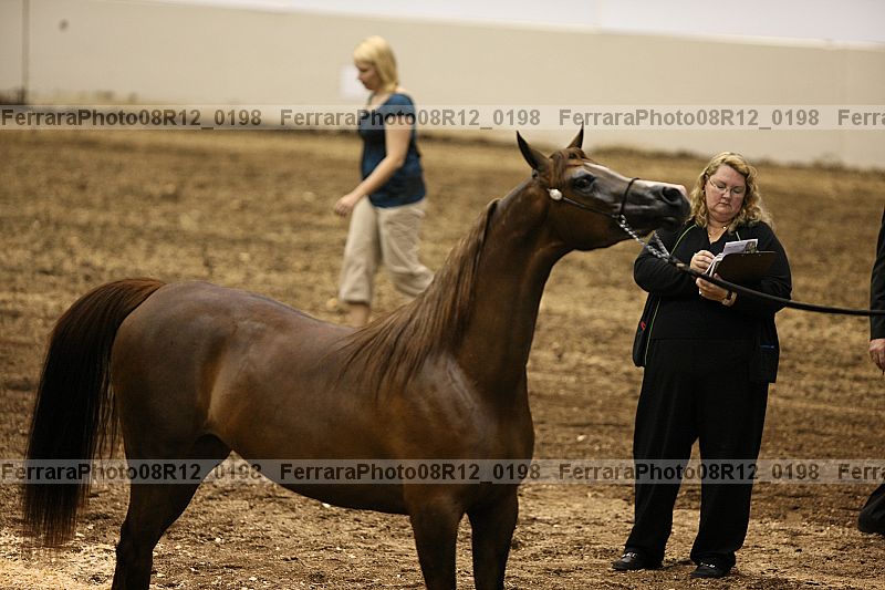 Proof 08r12_0198