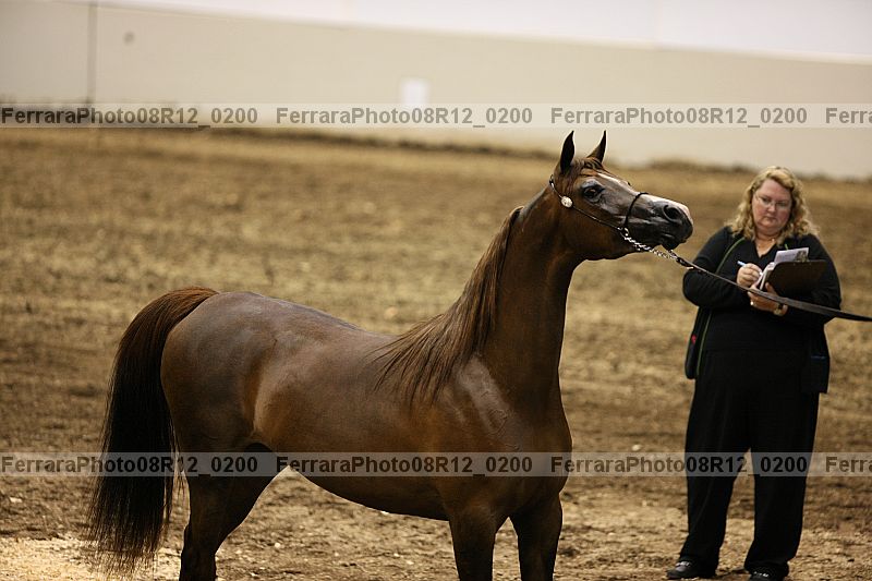 Proof 08r12_0200