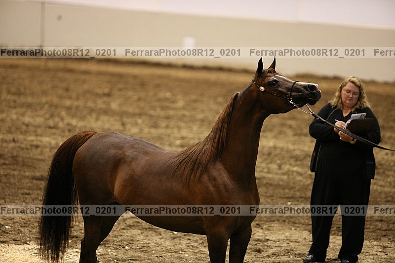 Proof 08r12_0201