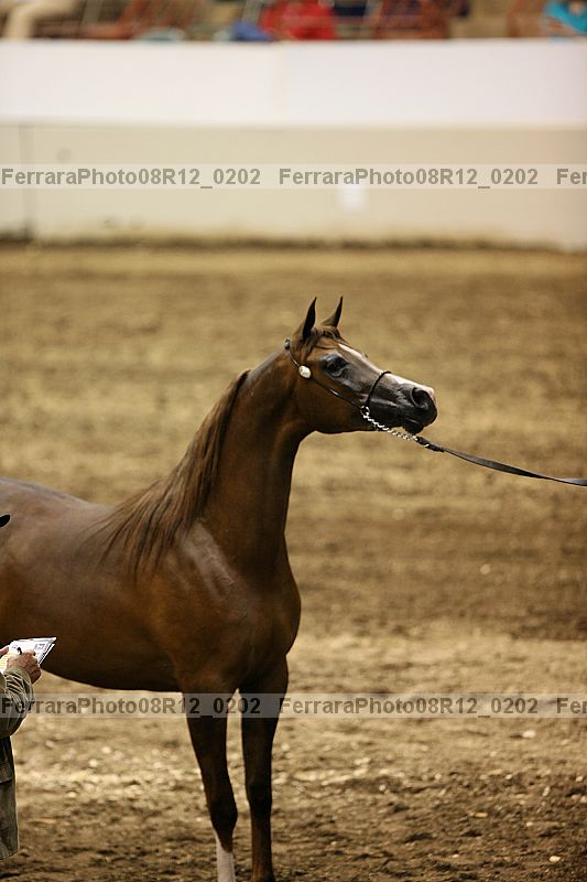 Proof 08r12_0202