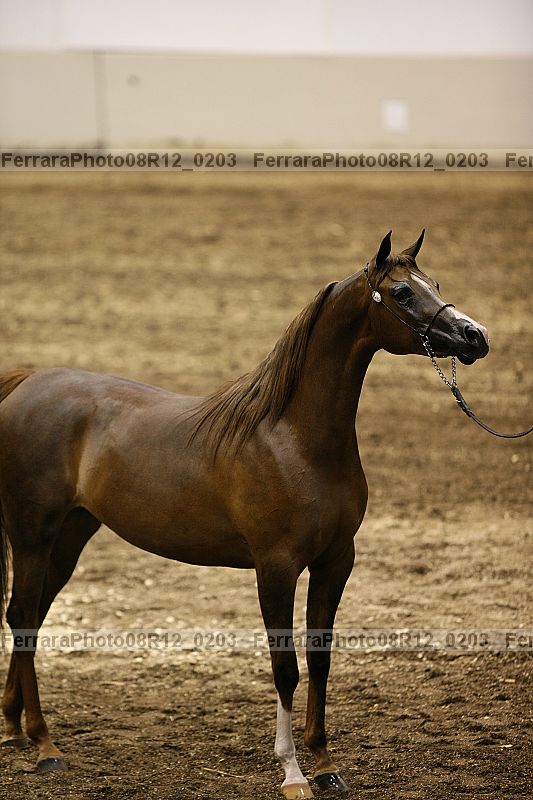Proof 08r12_0203