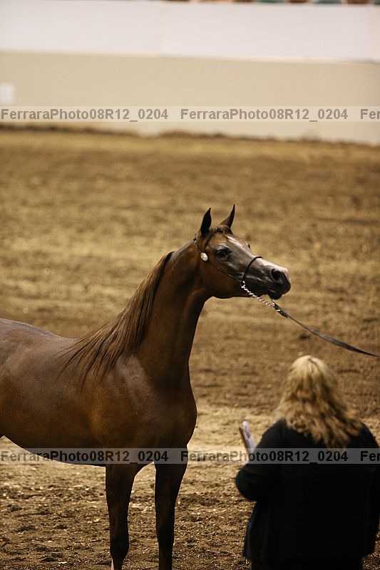 Proof 08r12_0204