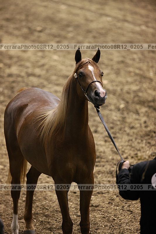 Proof 08r12_0205