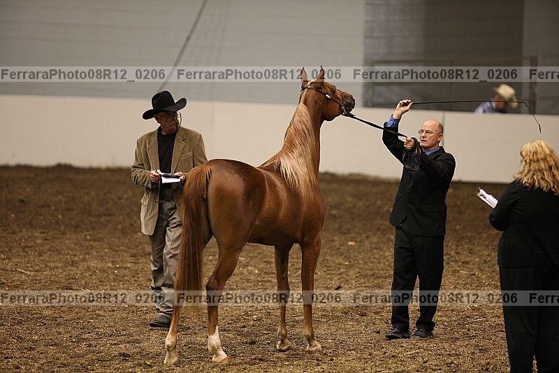 Proof 08r12_0206