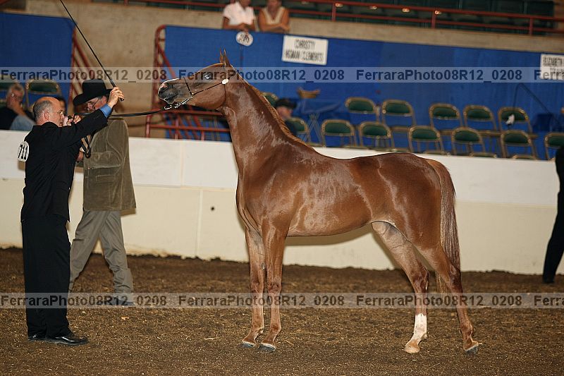 Proof 08r12_0208