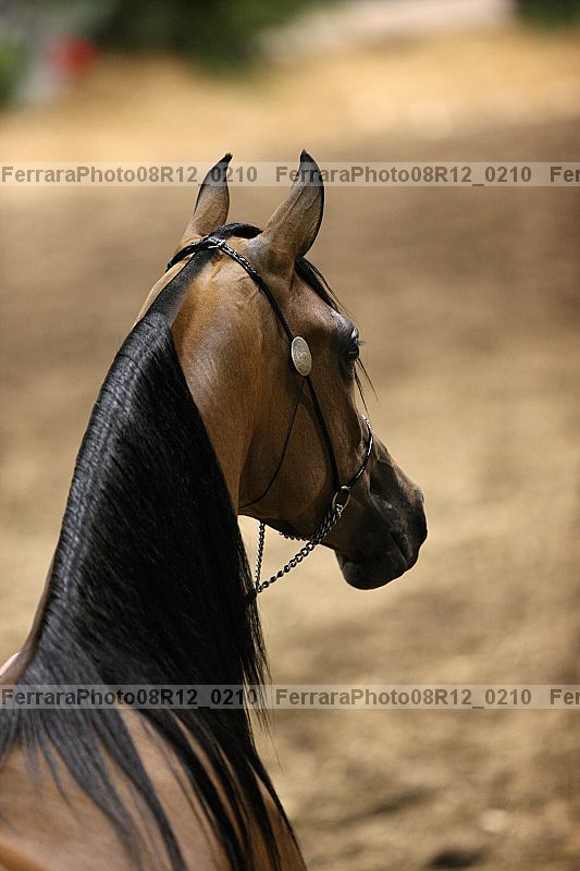 Proof 08r12_0210
