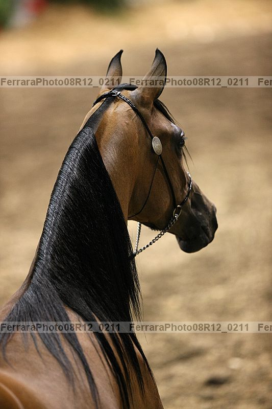 Proof 08r12_0211