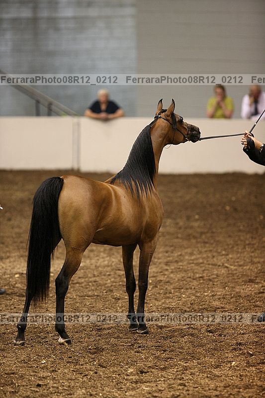 Proof 08r12_0212