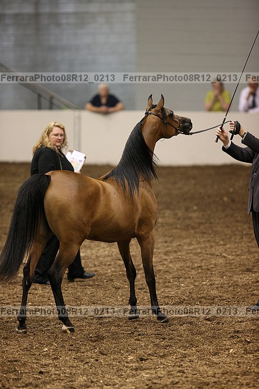 Proof 08r12_0213