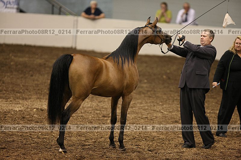 Proof 08r12_0214