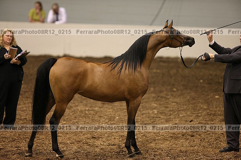 Proof 08r12_0215