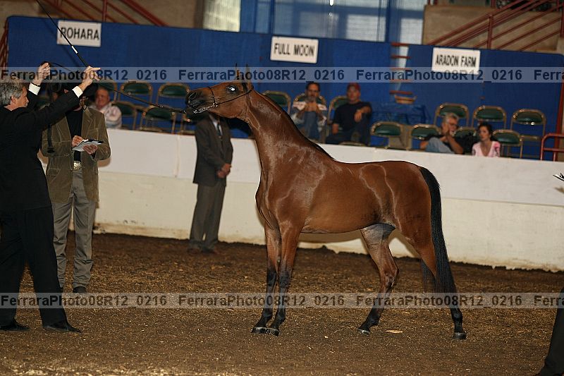 Proof 08r12_0216