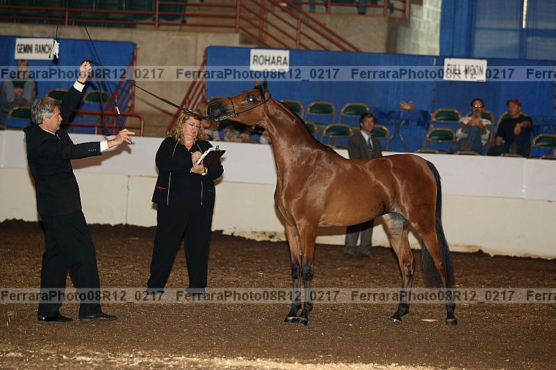 Proof 08r12_0217