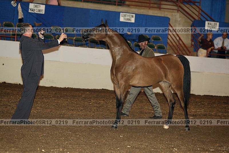 Proof 08r12_0219