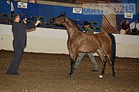 08r12_0219 proof