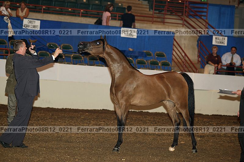 Proof 08r12_0221