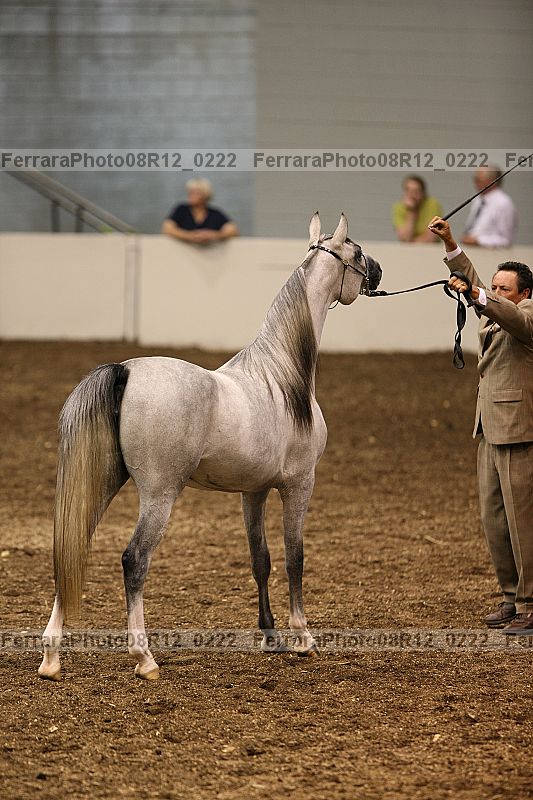 Proof 08r12_0222