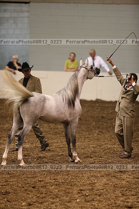 Proof 08r12_0223