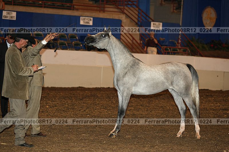 Proof 08r12_0224