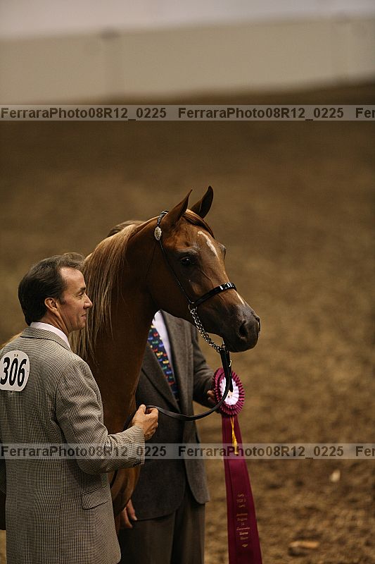 Proof 08r12_0225