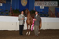 08r12_0226 proof