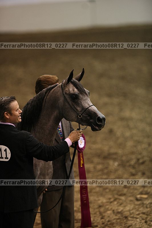 Proof 08r12_0227