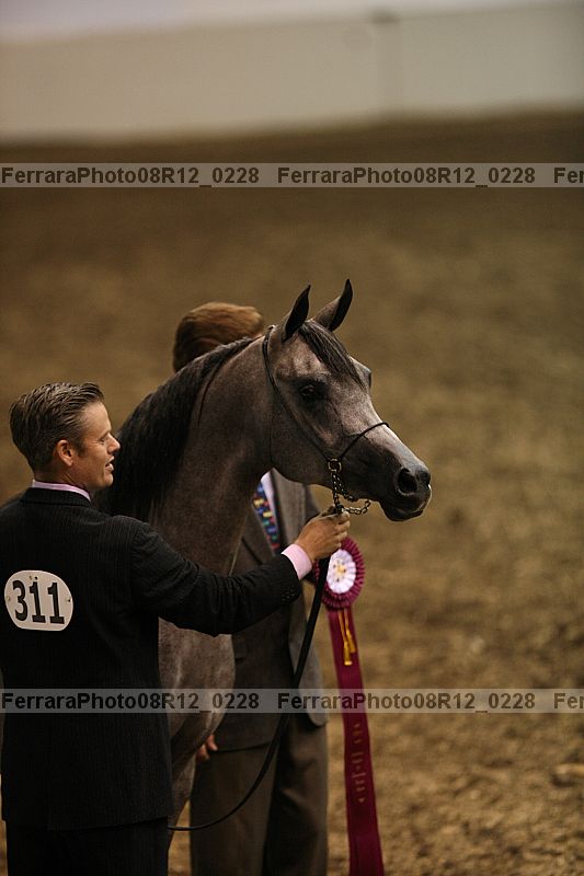 Proof 08r12_0228