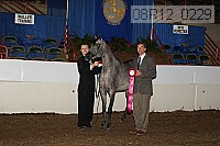 08r12_0229 proof