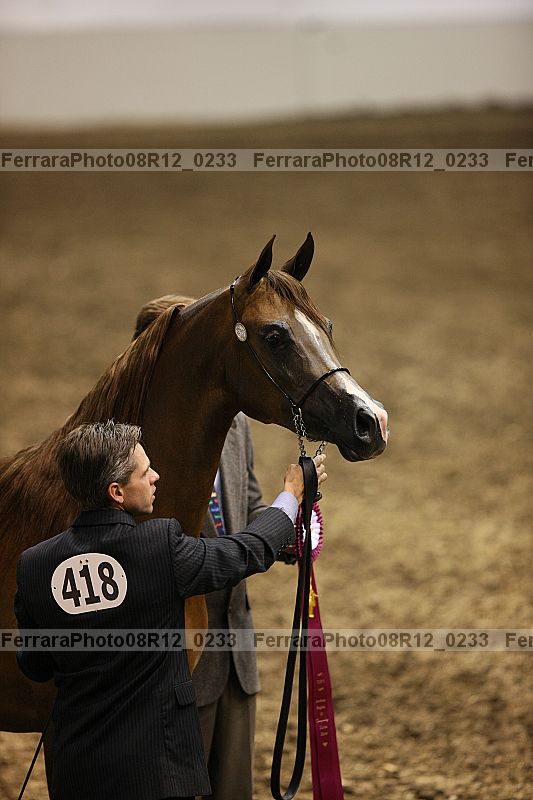 Proof 08r12_0233