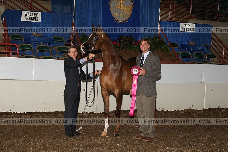 Proof 08r12_0234