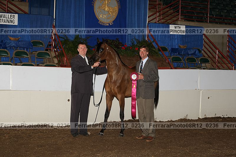 Proof 08r12_0236
