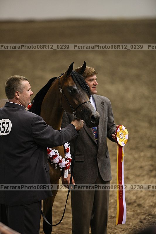 Proof 08r12_0239