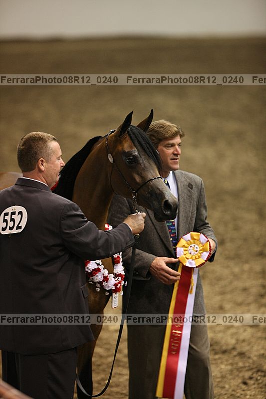 Proof 08r12_0240